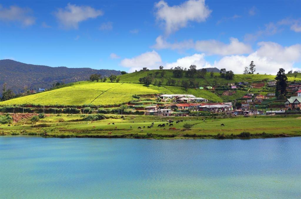 Inroma Holiday Resort Nuwara Eliya Zewnętrze zdjęcie